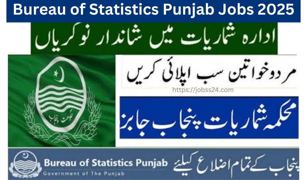 Bureau of Statistics Punjab Jobs