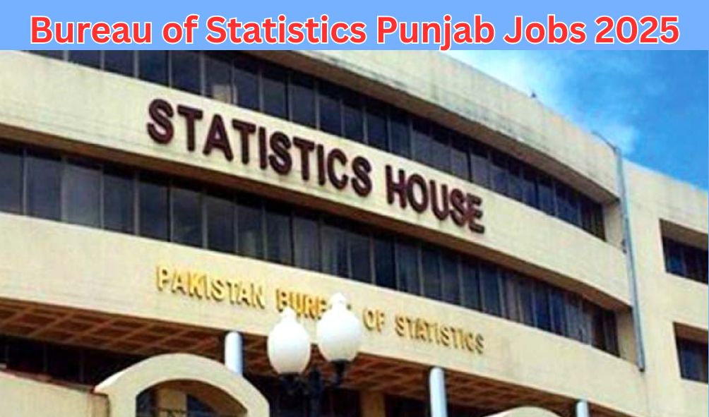 Bureau of Statistics Punjab Job