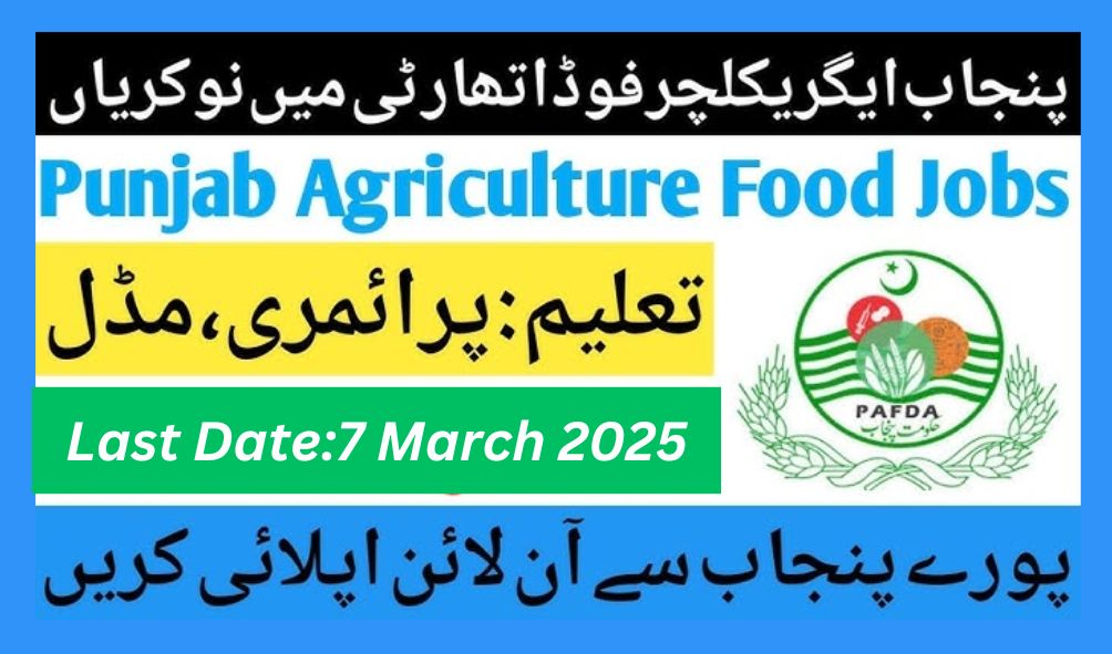 Punjab Agriculture Food and Drug Authority Jobs