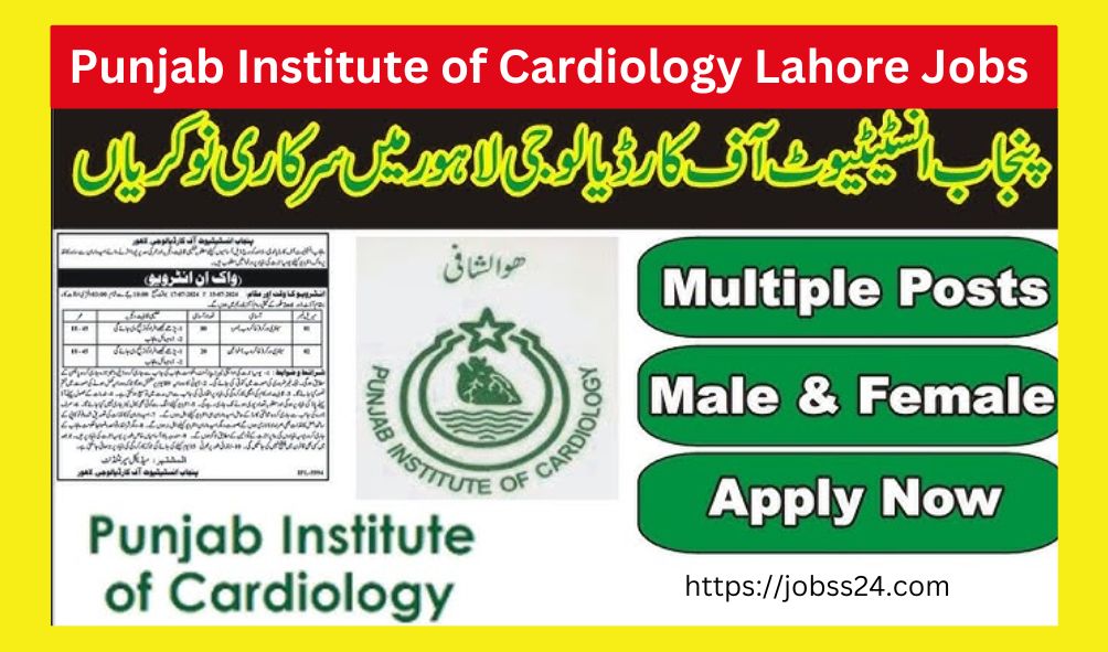 Punjab Institute of Cardiology Jobs